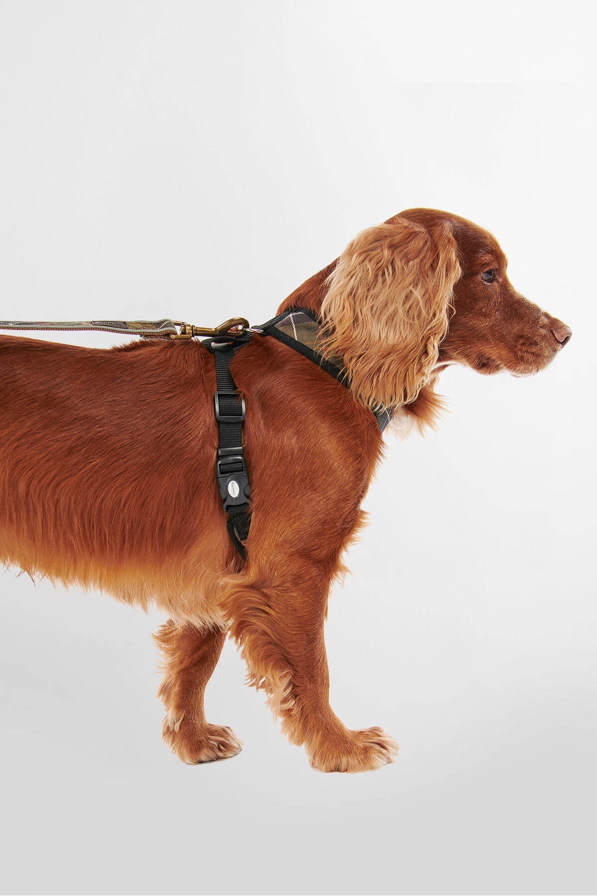 Tartan Dog Harness