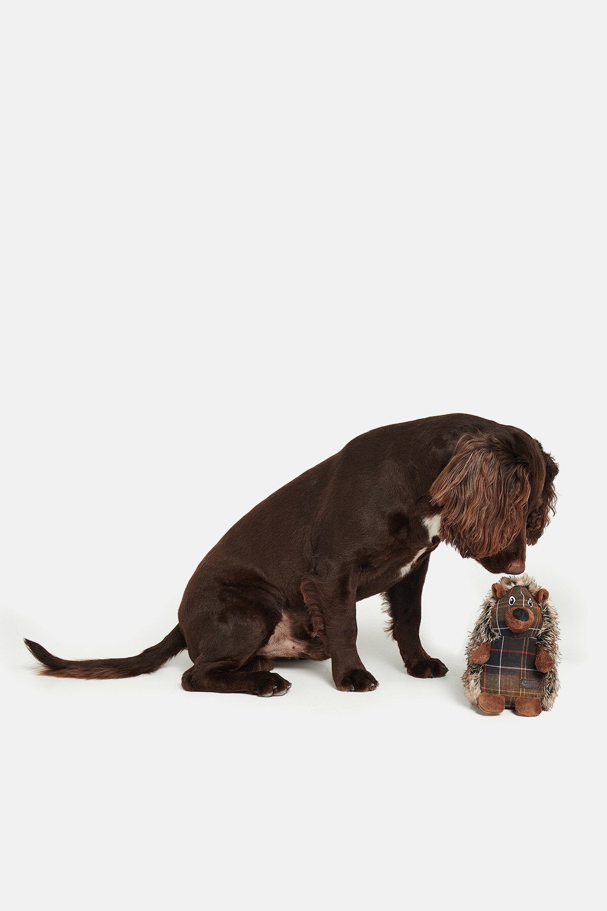 Barbour Dog Hedgehog Toy