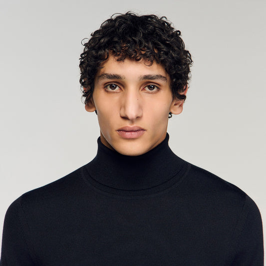 Roll neck wool sweater