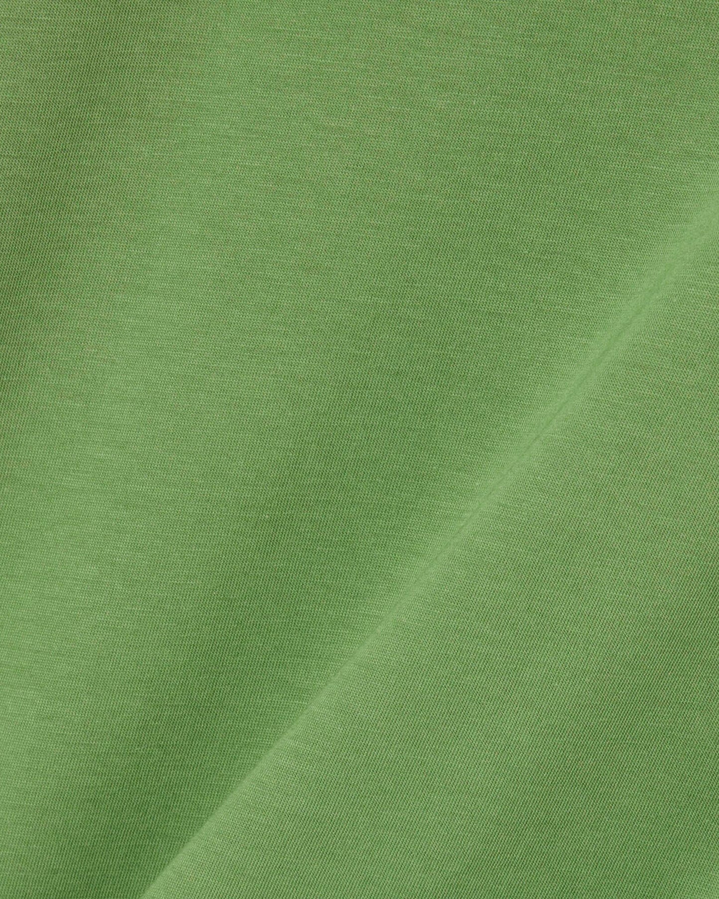 Mens Crew Neck Pima Cotton Jersey T-Shirt - Lamb's Lettuce 02M